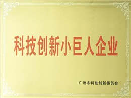 科技创新小巨人企业