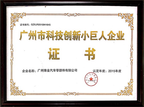 科技创新小巨人企业证书